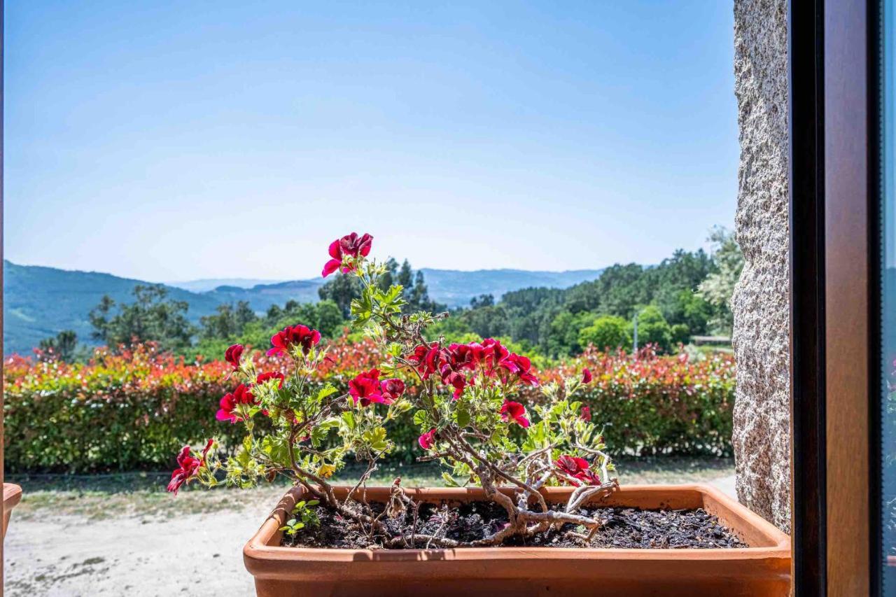 Quinta Da Baldieira Mondim de Basto Exteriör bild