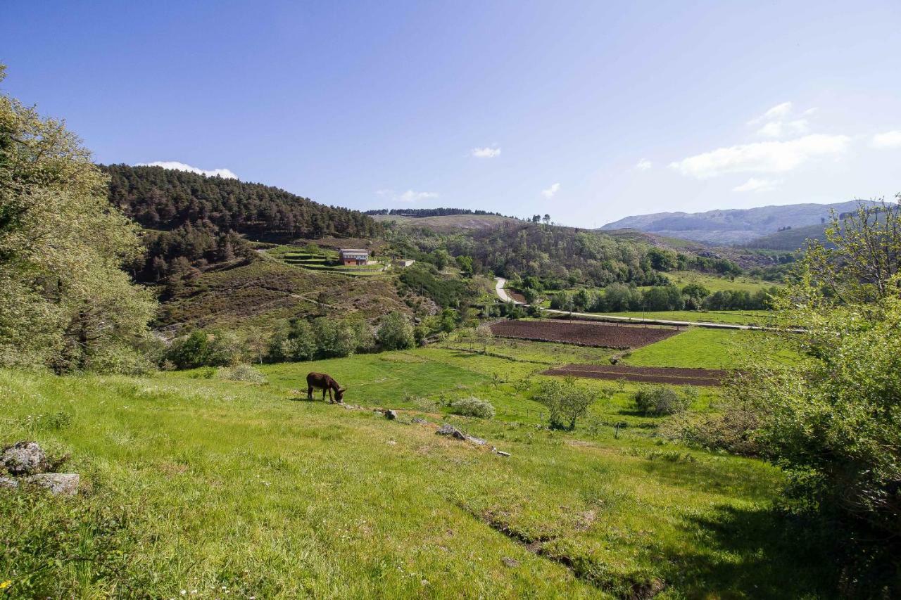 Quinta Da Baldieira Mondim de Basto Exteriör bild